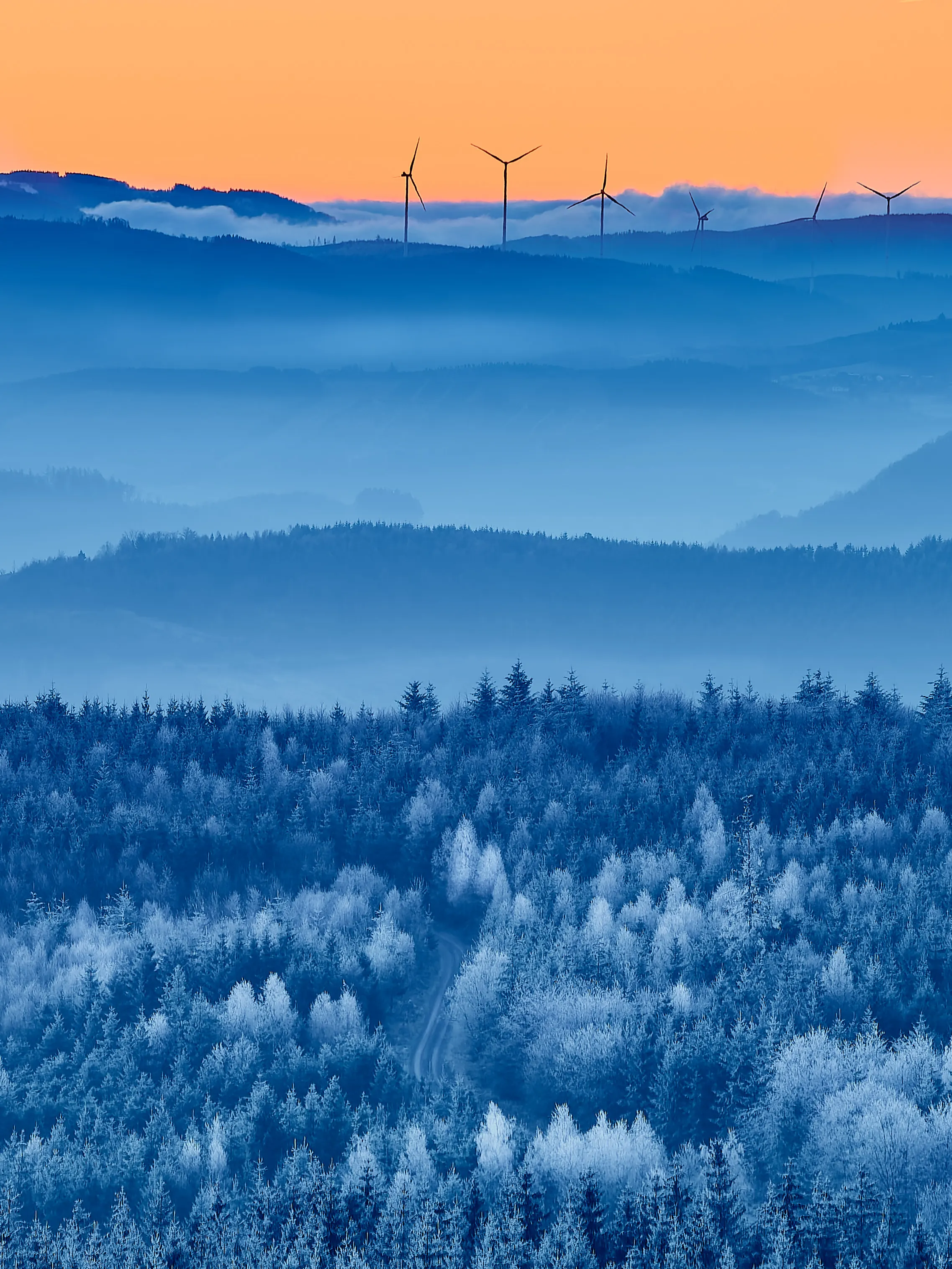 Mit Raureif überzogener Fichtenwald im blauen Morgenlicht, am Horizont Windräder vor orangefarbenem Himmel