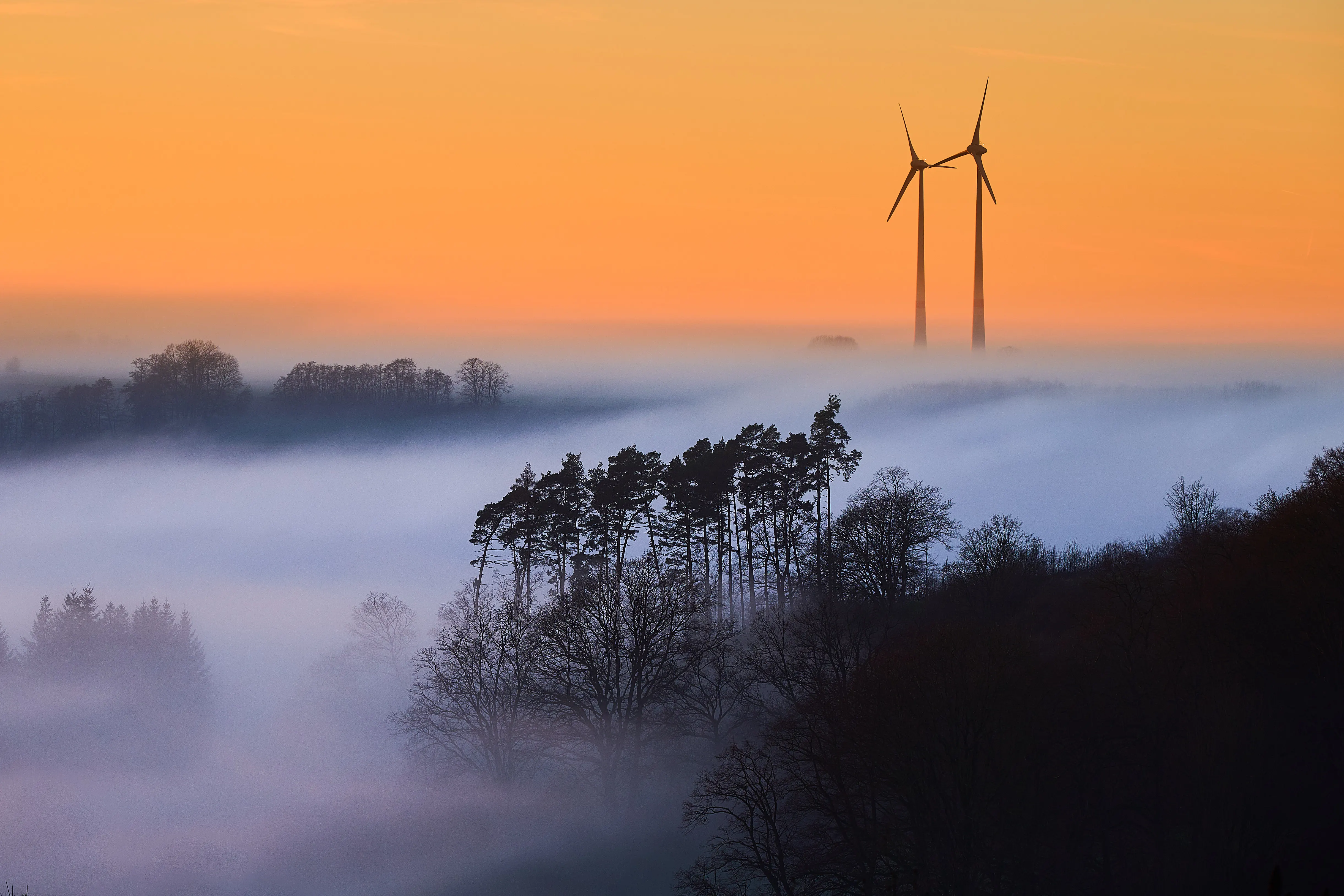 Zwei Windräder ragen bei Sonnenaufgang über ein Nebelmeer, davor die Silhouette einer Kiefergruppe