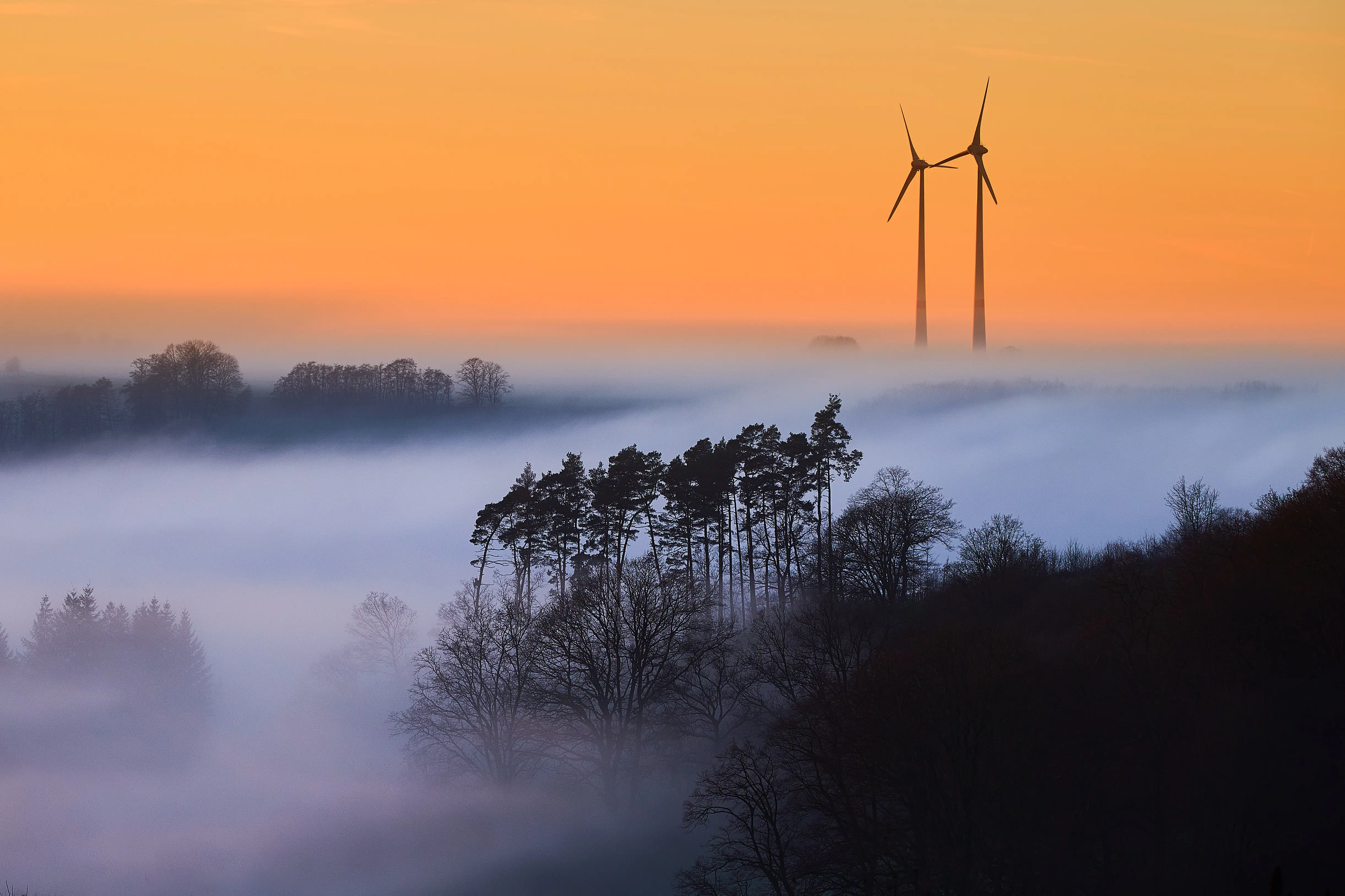 Zwei Windräder ragen bei Sonnenaufgang über ein Nebelmeer, davor die Silhouette einer Kiefergruppe